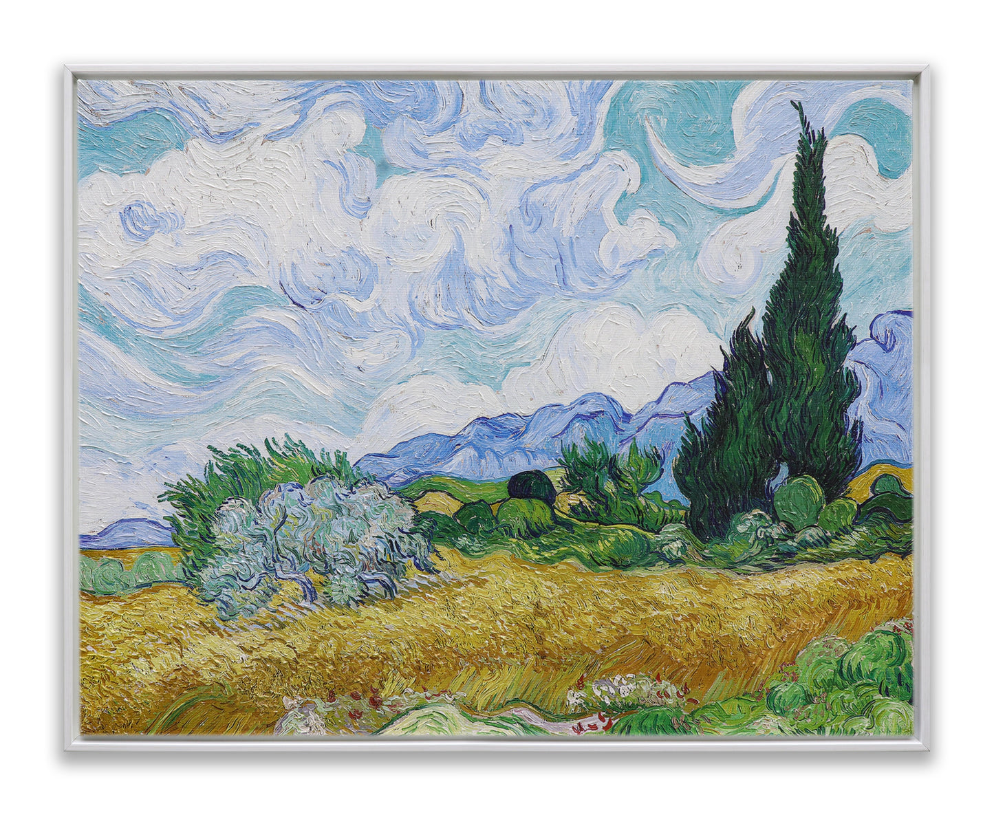 Wheat Field with Cypresses