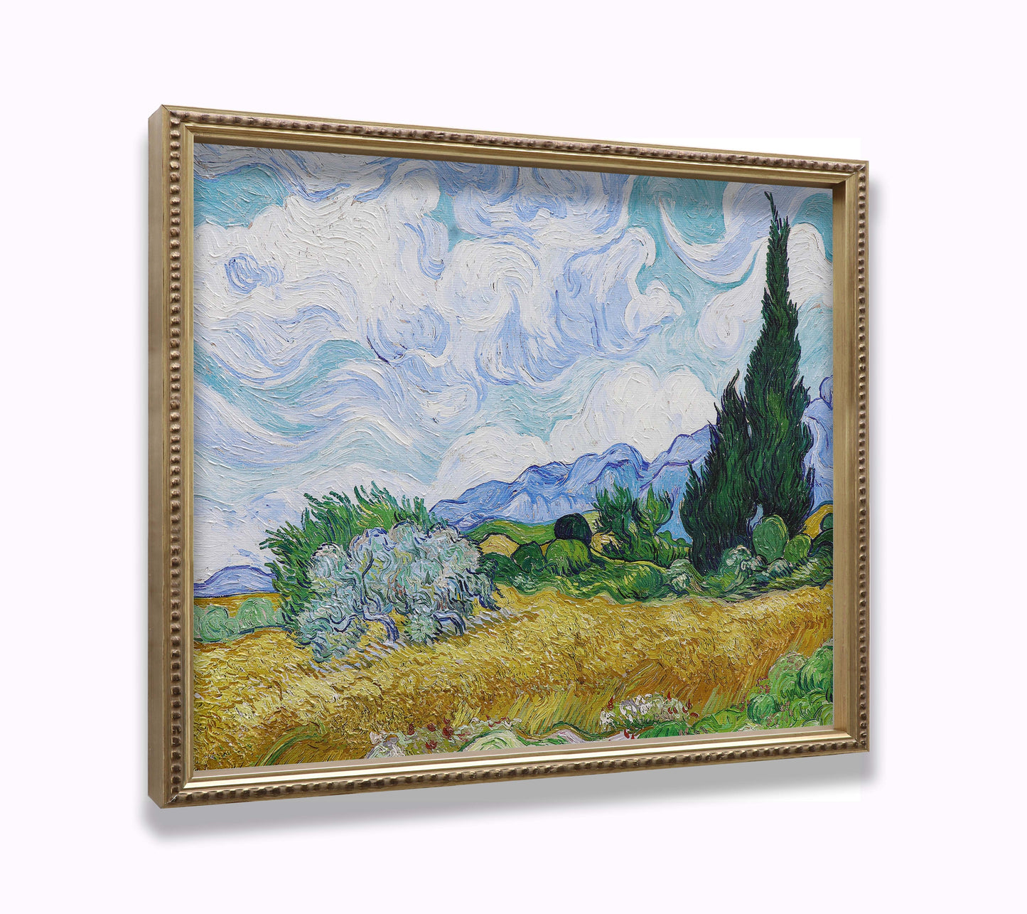 Wheat Field with Cypresses