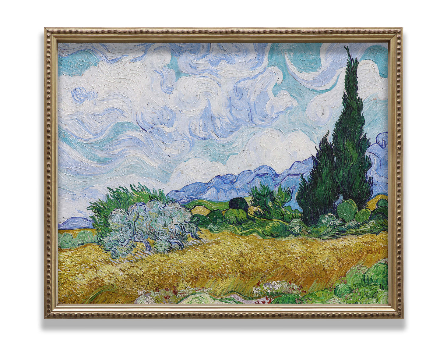 Wheat Field with Cypresses