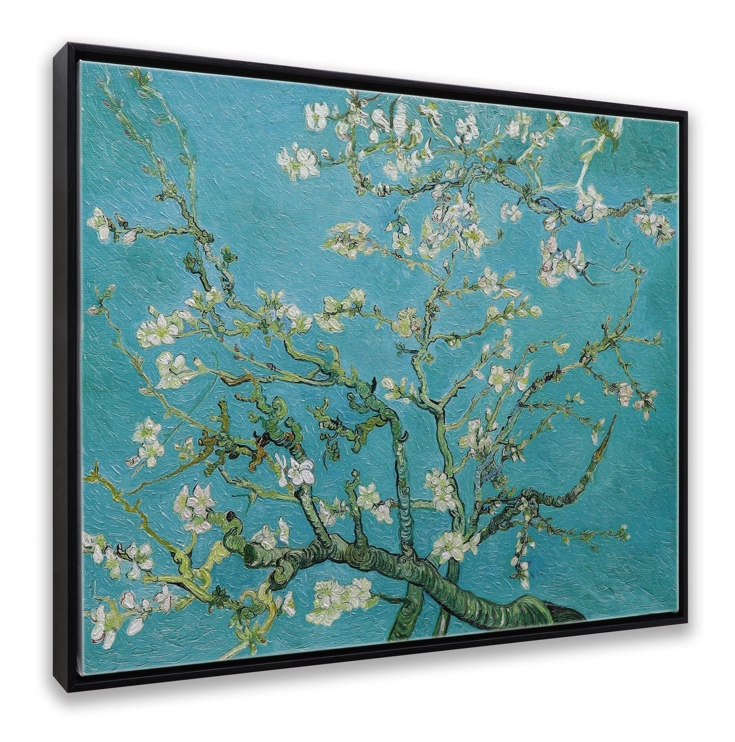 White Almond Blossom