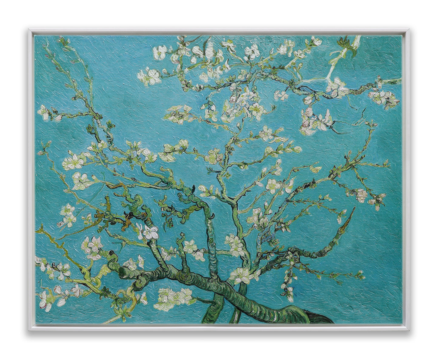 White Almond Blossom