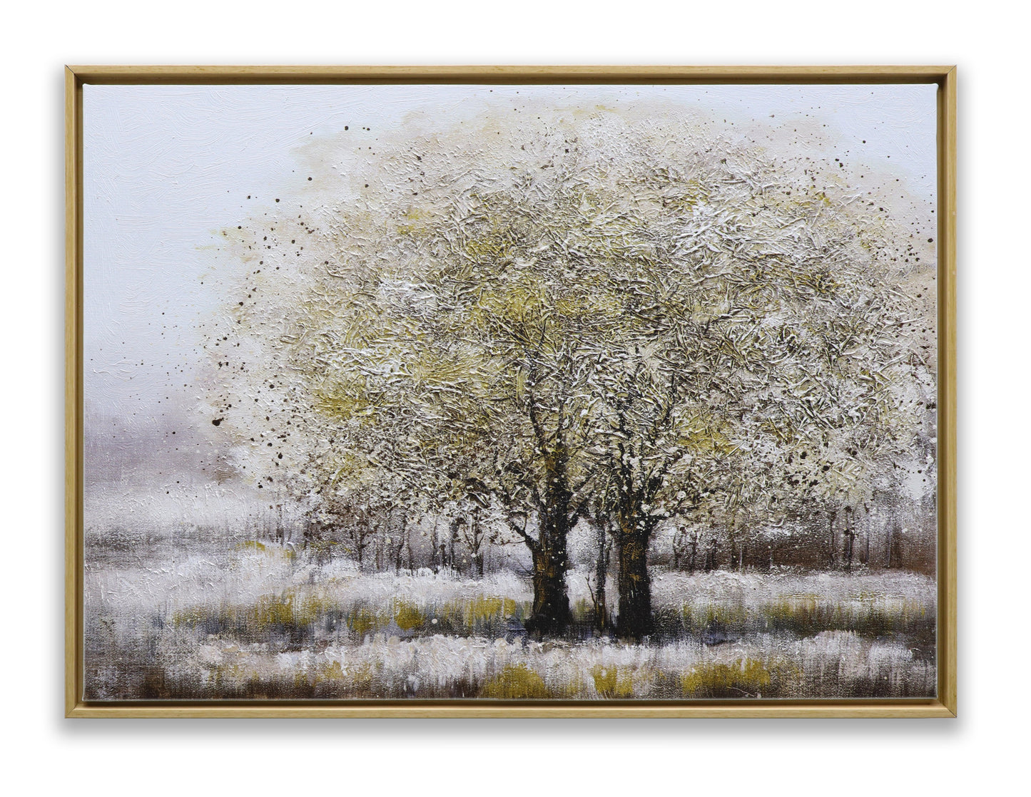 Winter Maple Tree