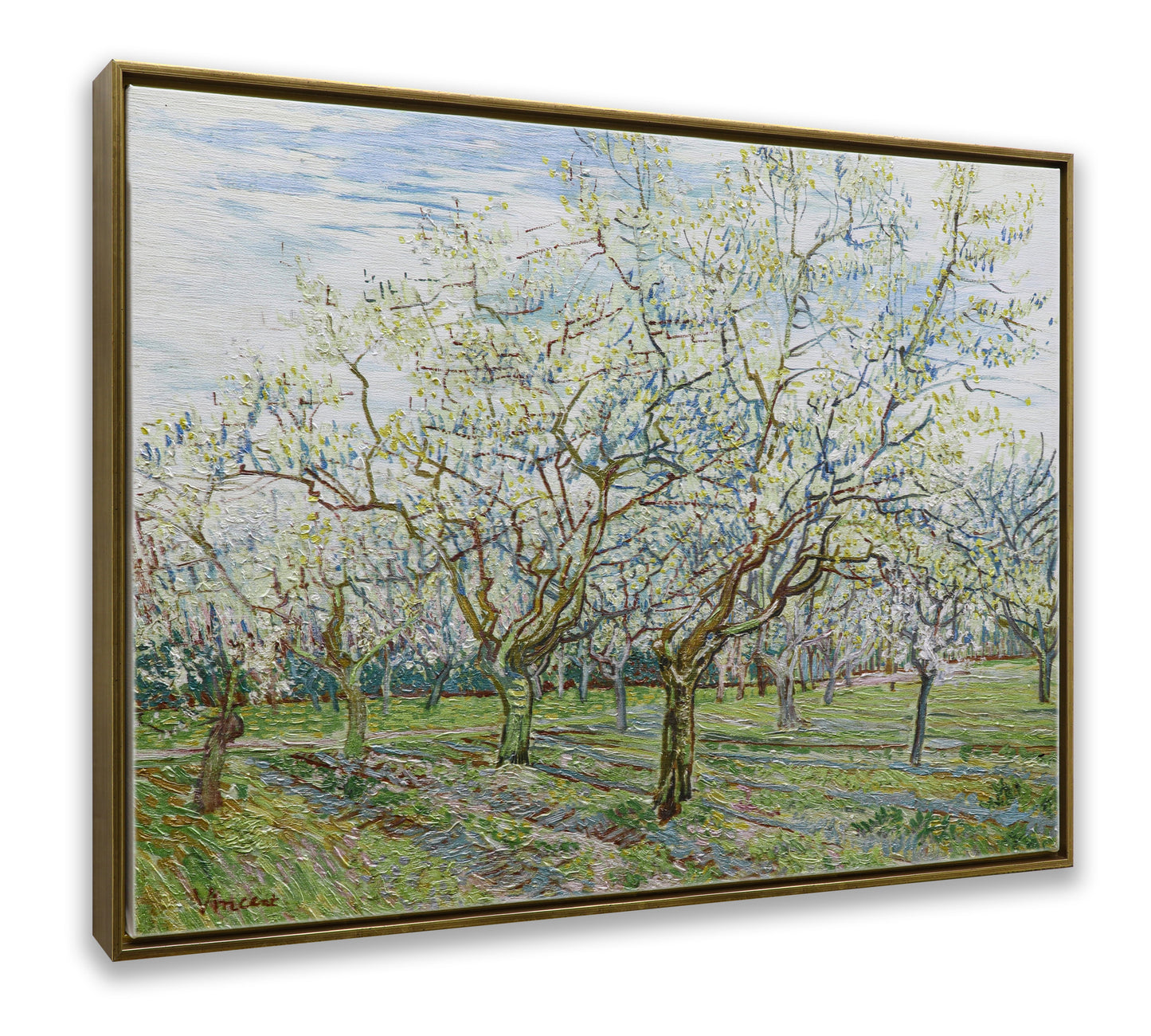 The White Orchard