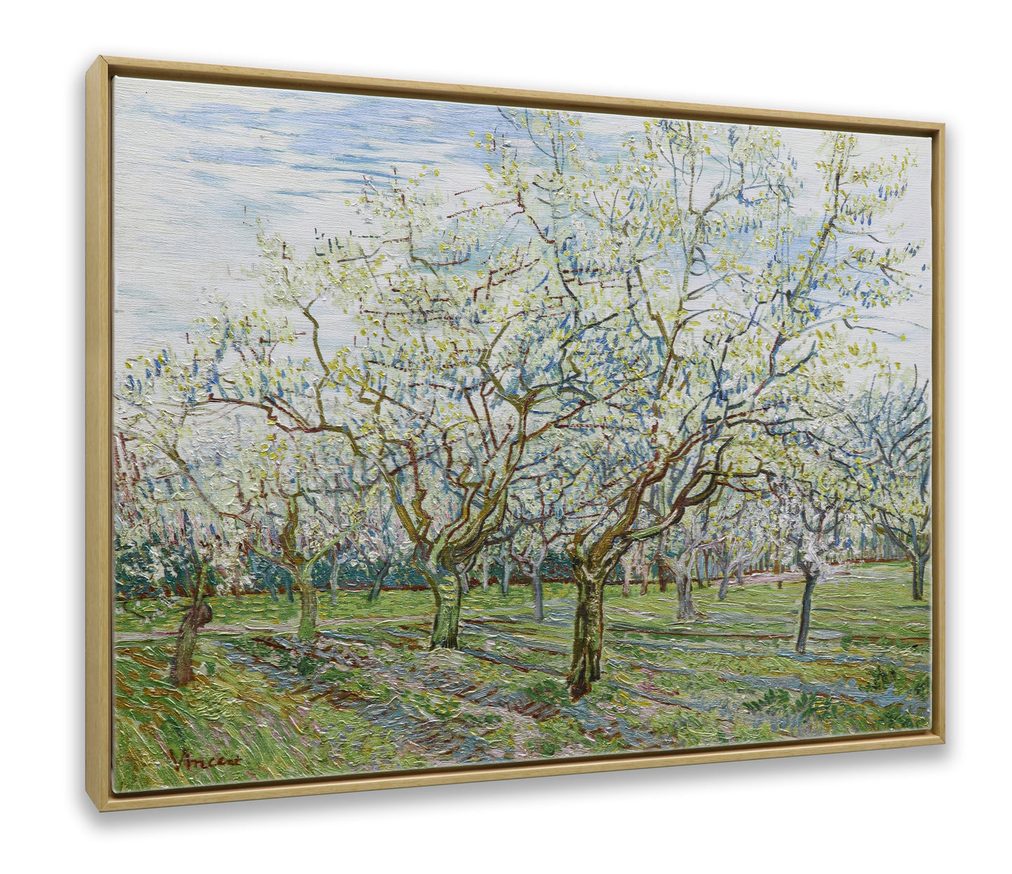 The White Orchard