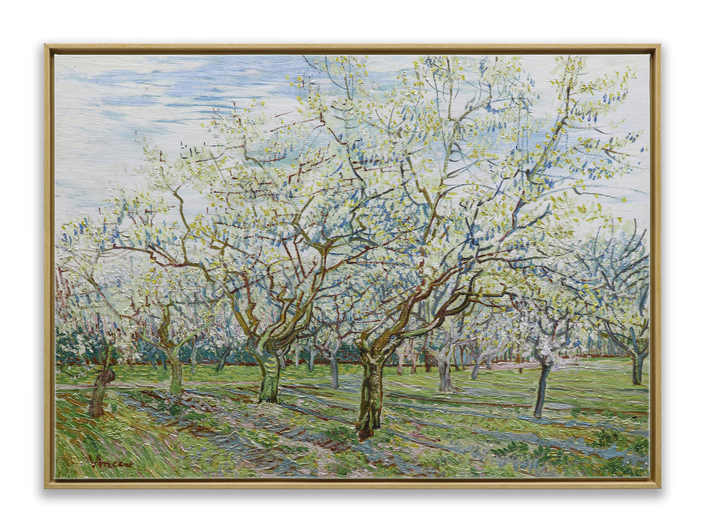 The White Orchard
