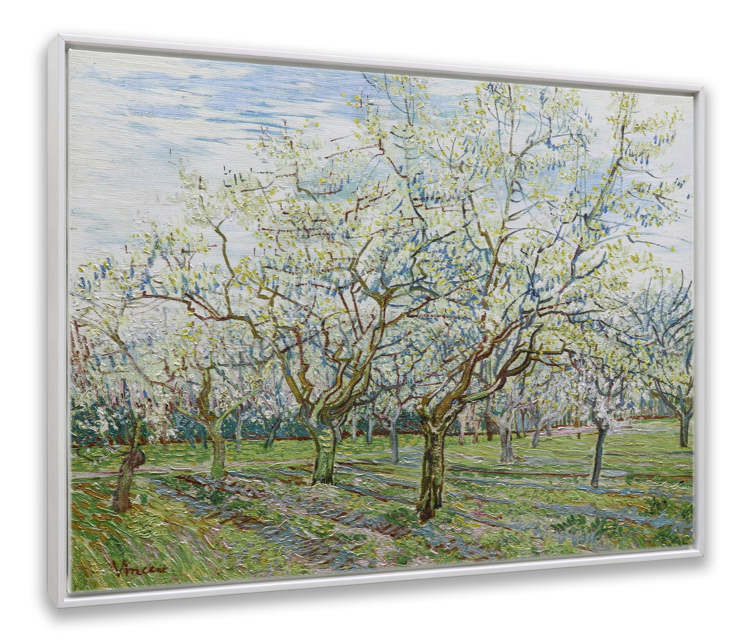 The White Orchard