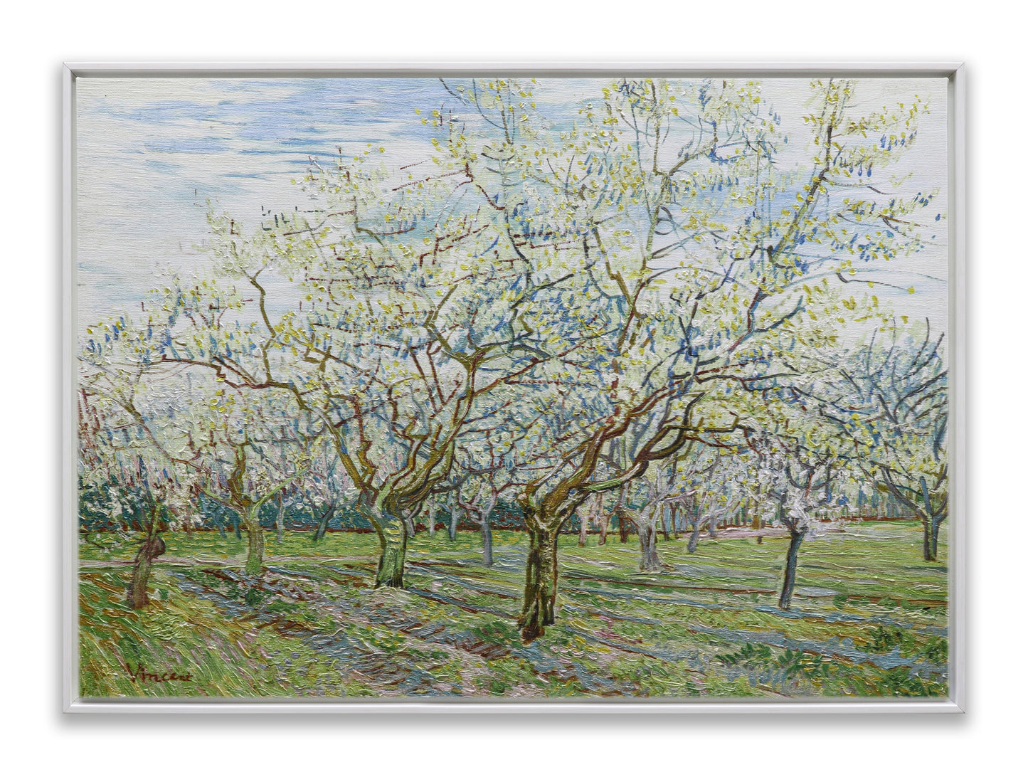 The White Orchard
