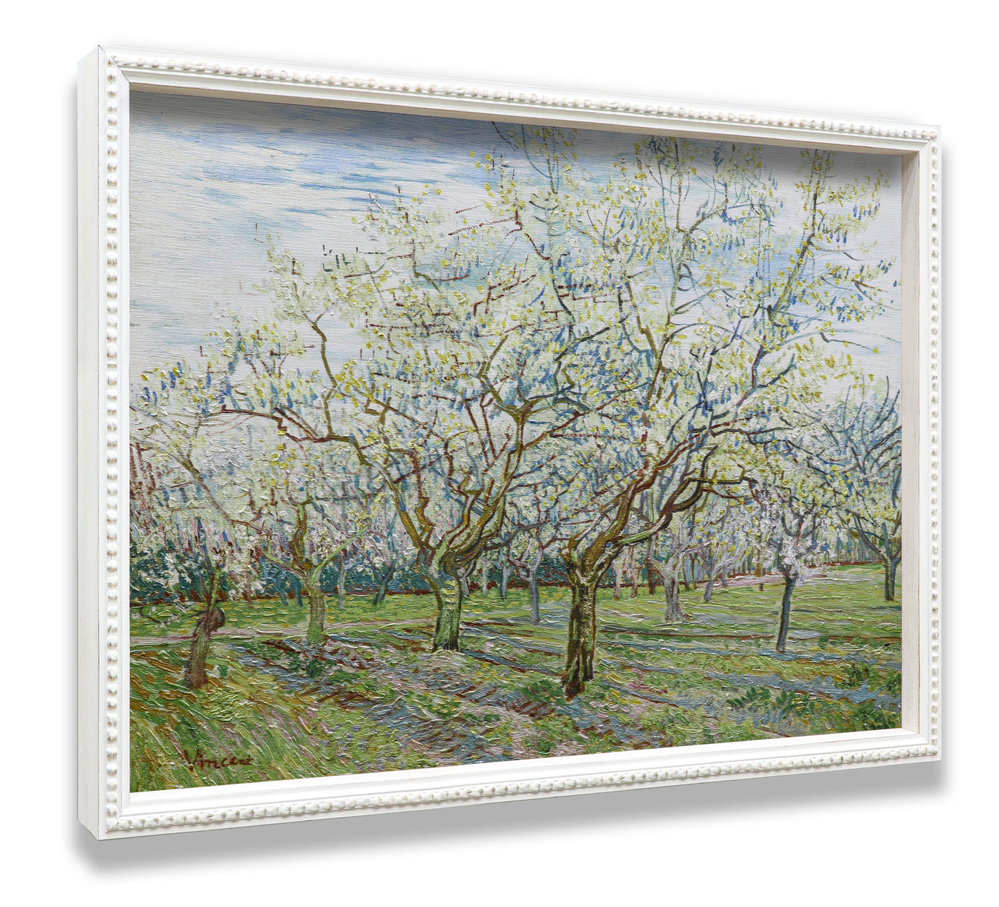 The White Orchard