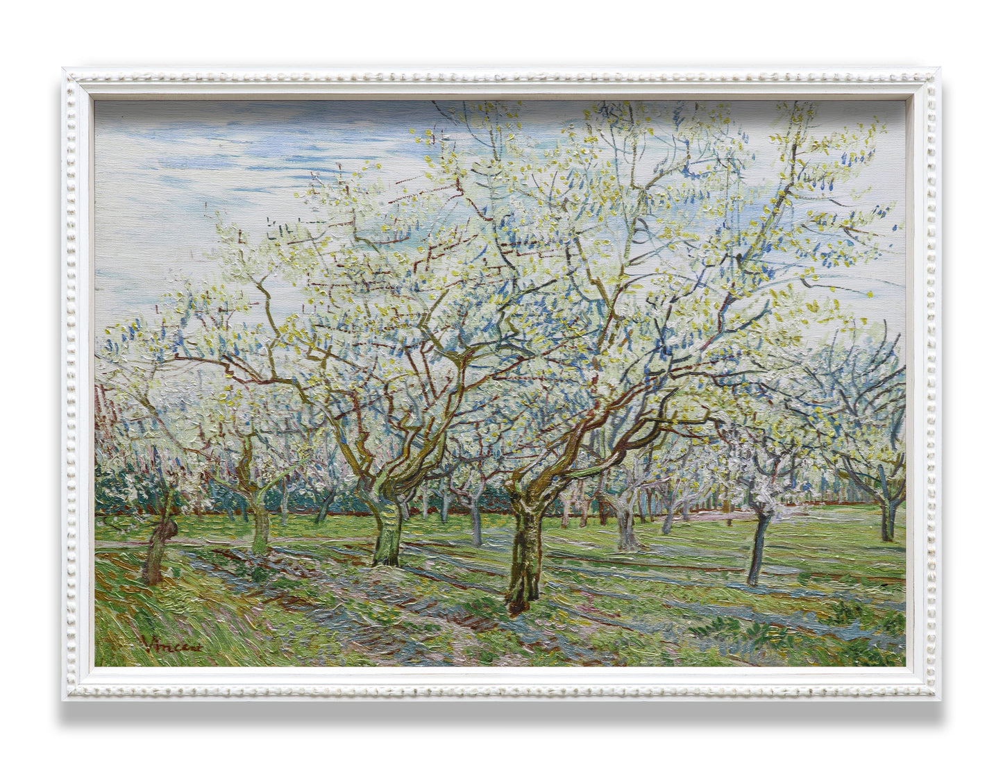 The White Orchard