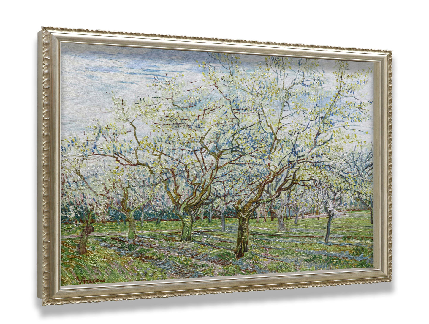 The White Orchard
