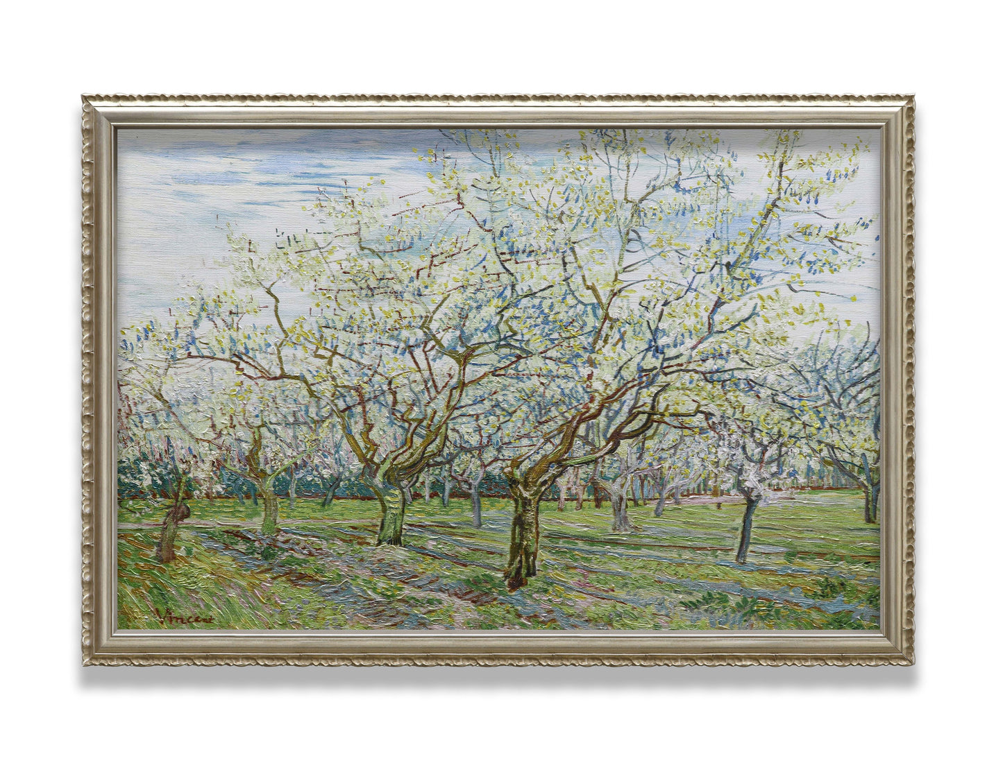The White Orchard
