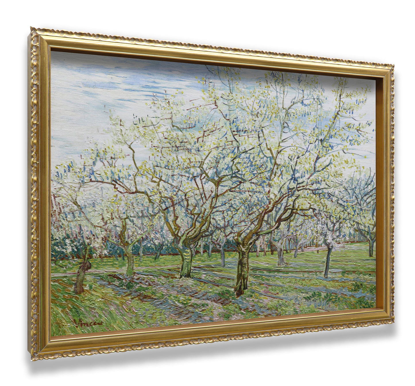 The White Orchard