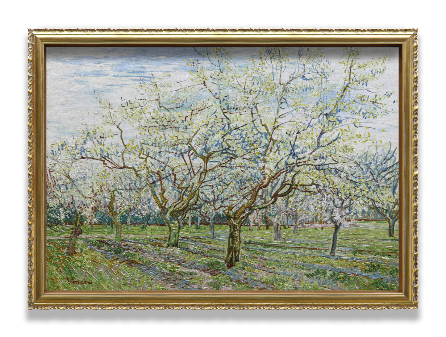 The White Orchard