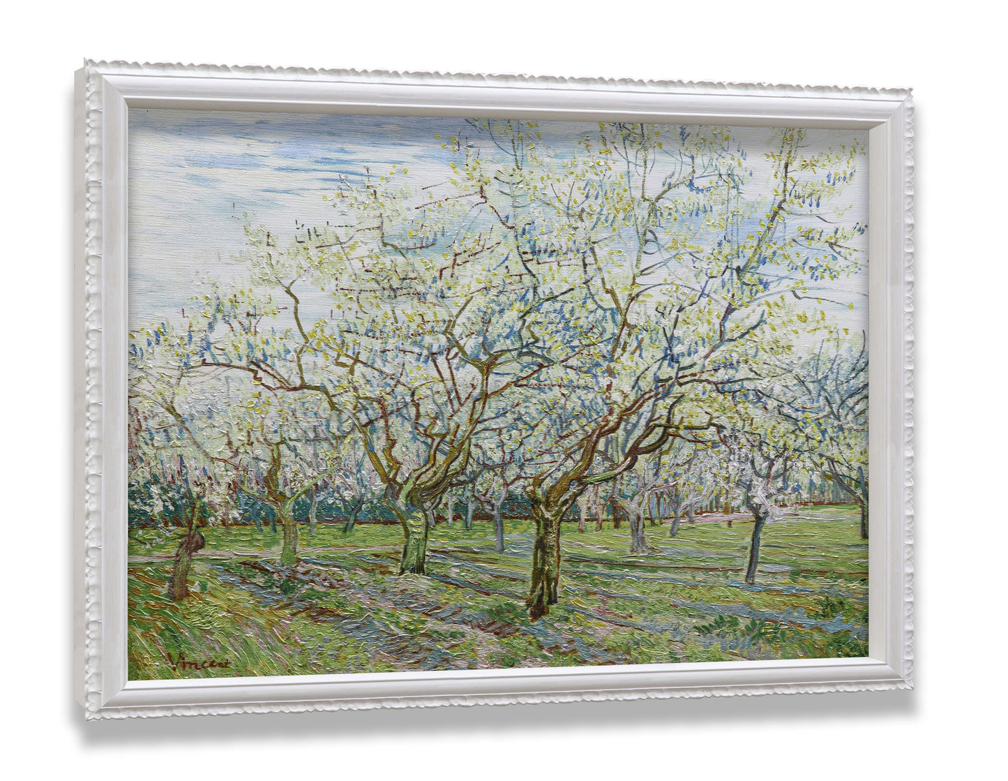 The White Orchard