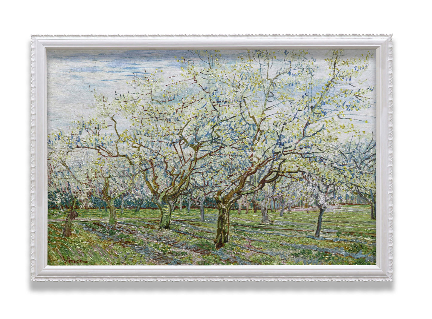 The White Orchard