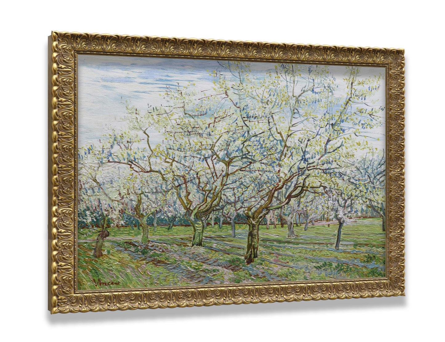 The White Orchard