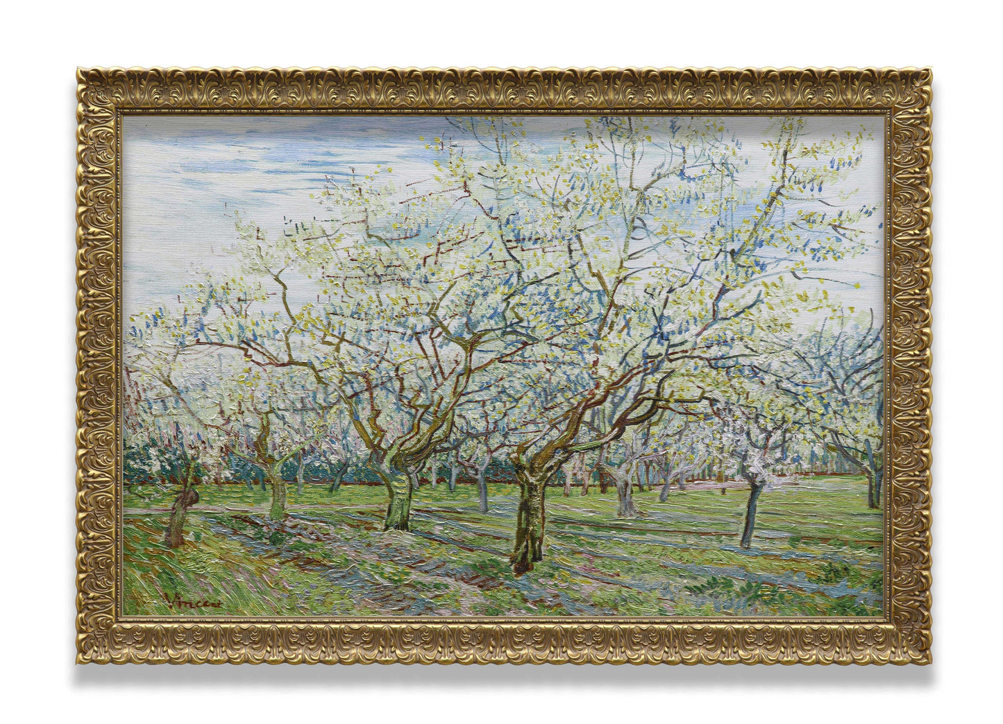 The White Orchard