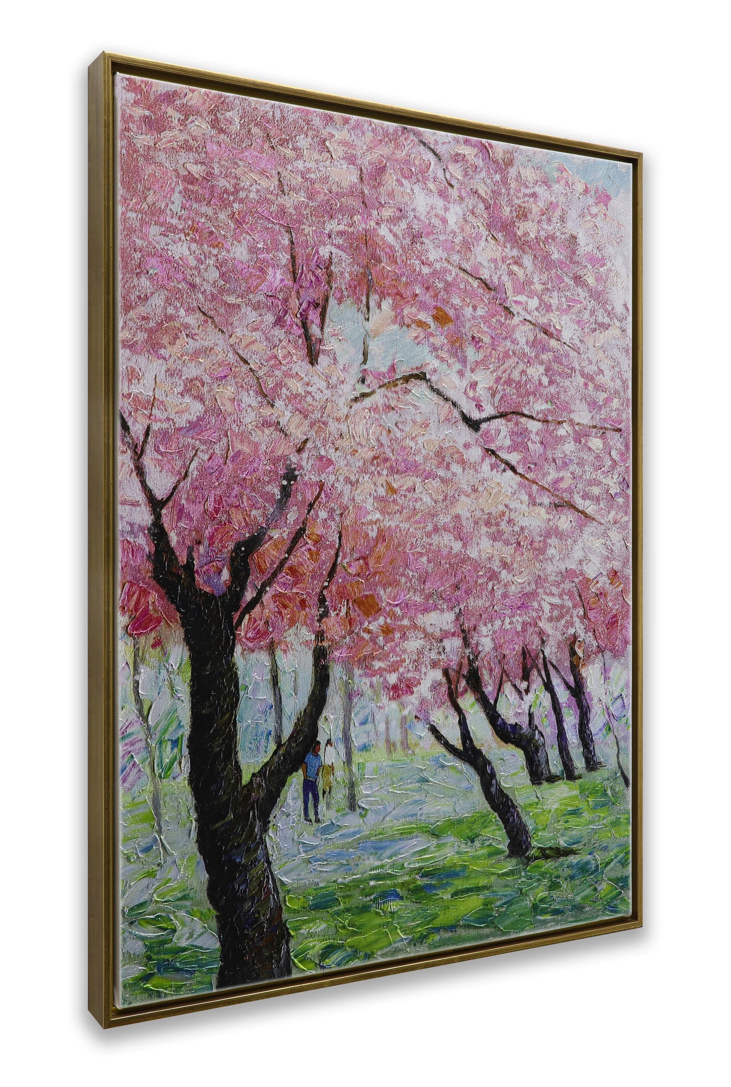 Japanese Sakura Pink Blooming