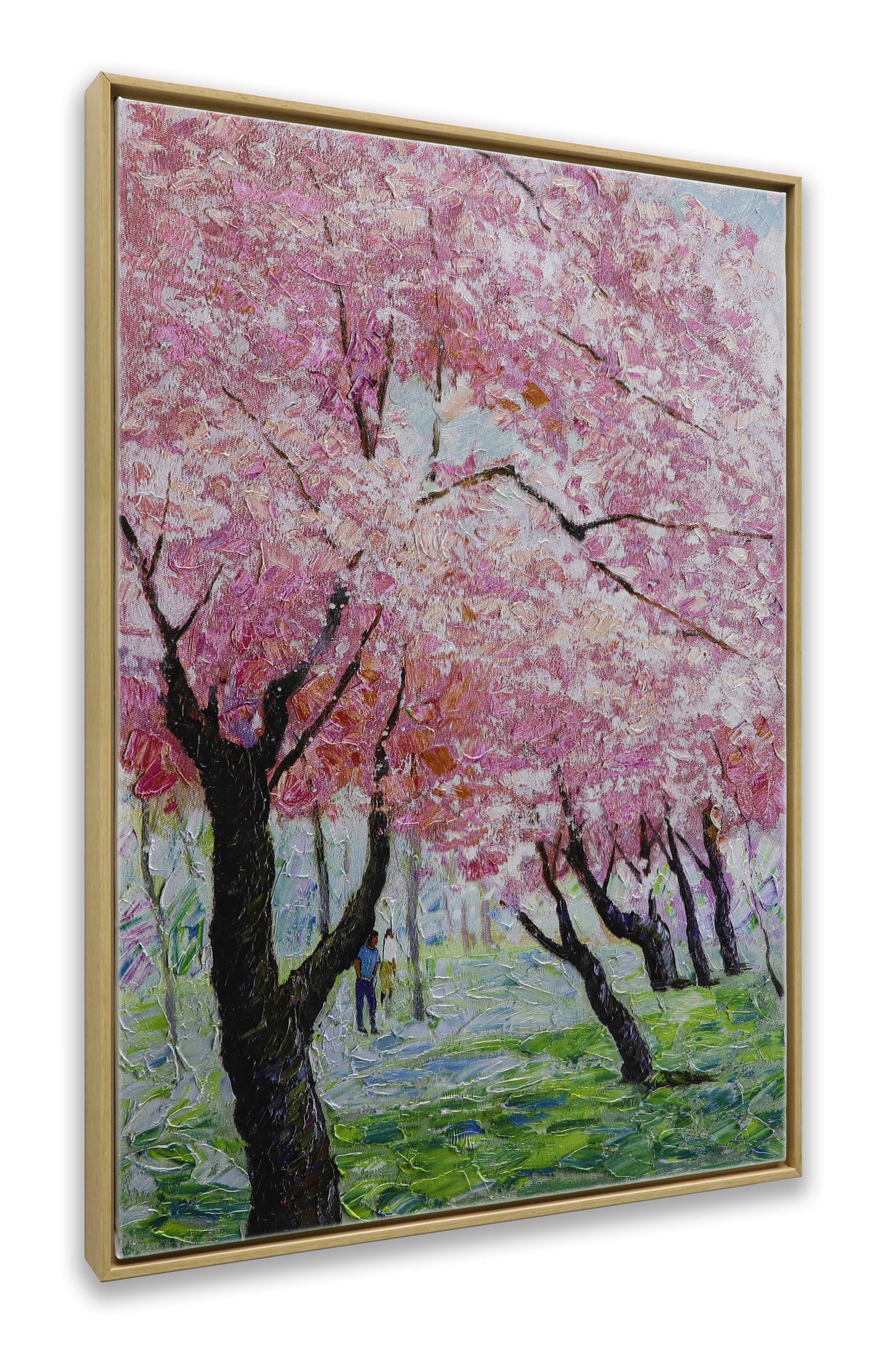 Japanese Sakura Pink Blooming