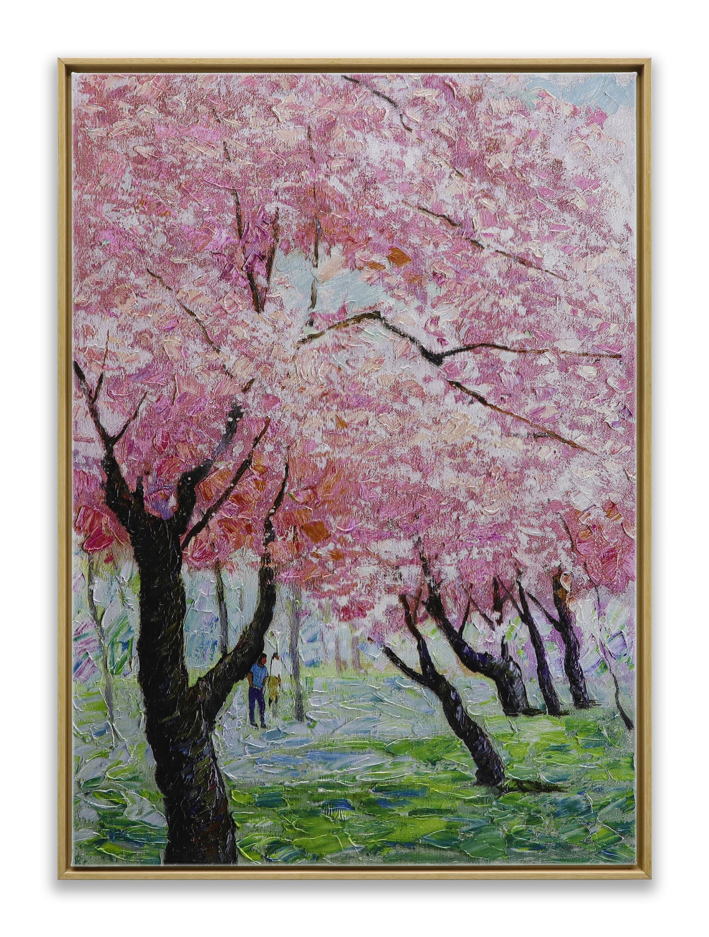 Japanese Sakura Pink Blooming