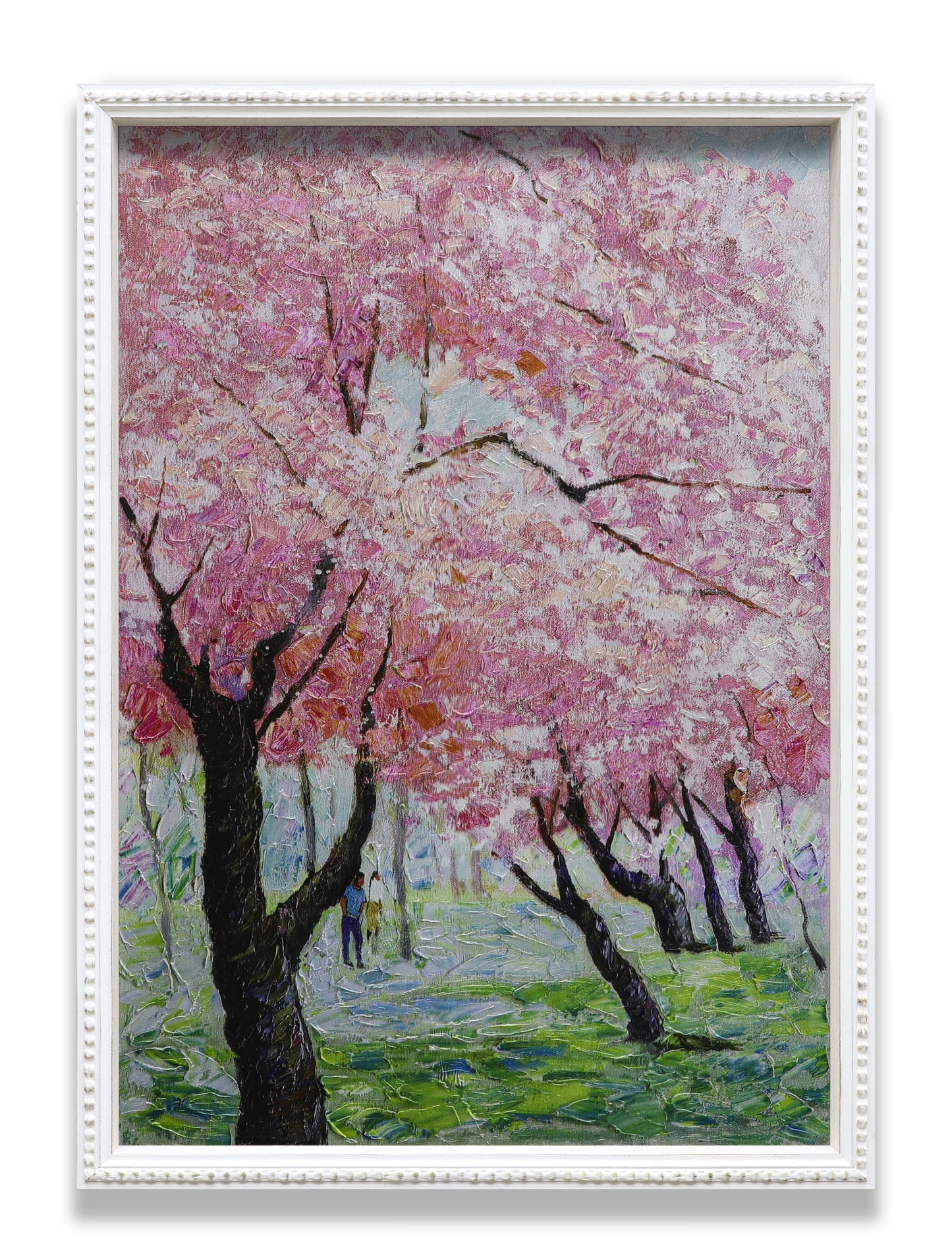 Japanese Sakura Pink Blooming