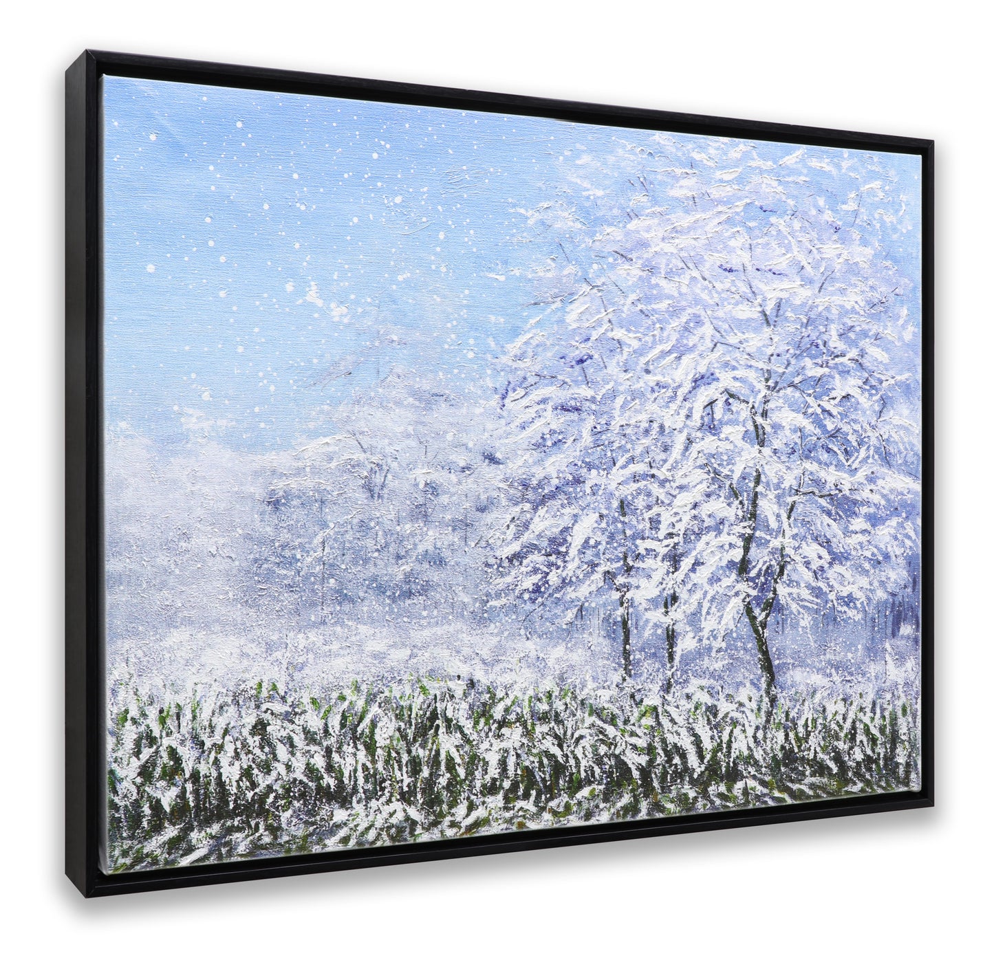 Winter Snow Forest