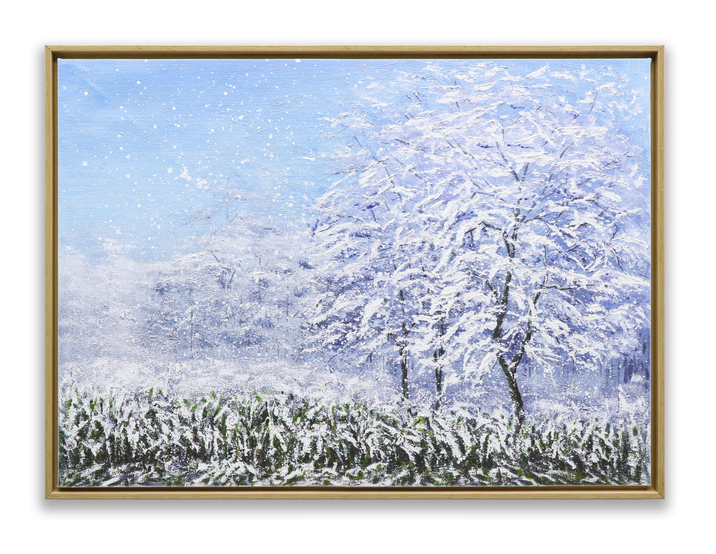 Winter Snow Forest