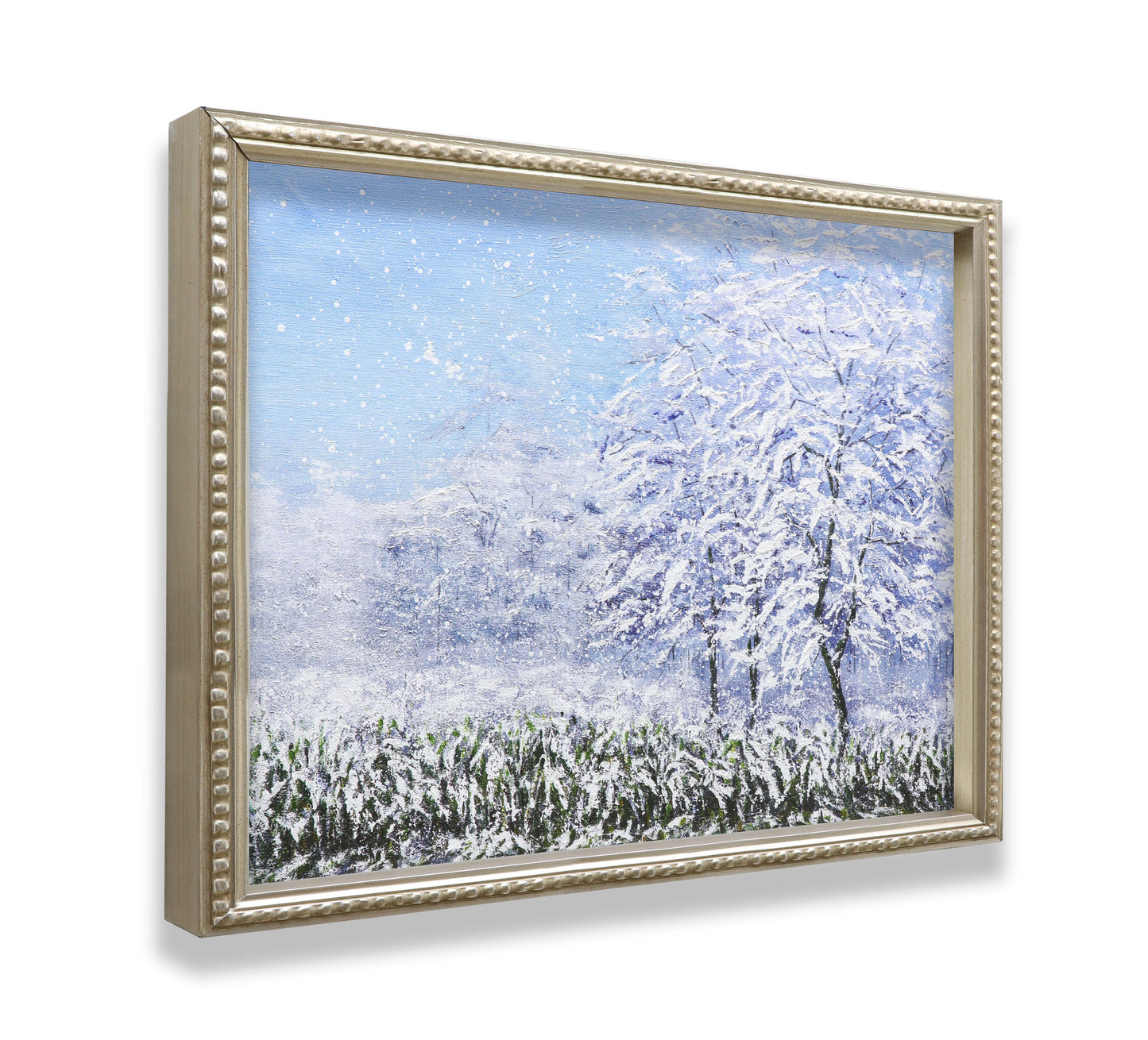 Winter Snow Forest