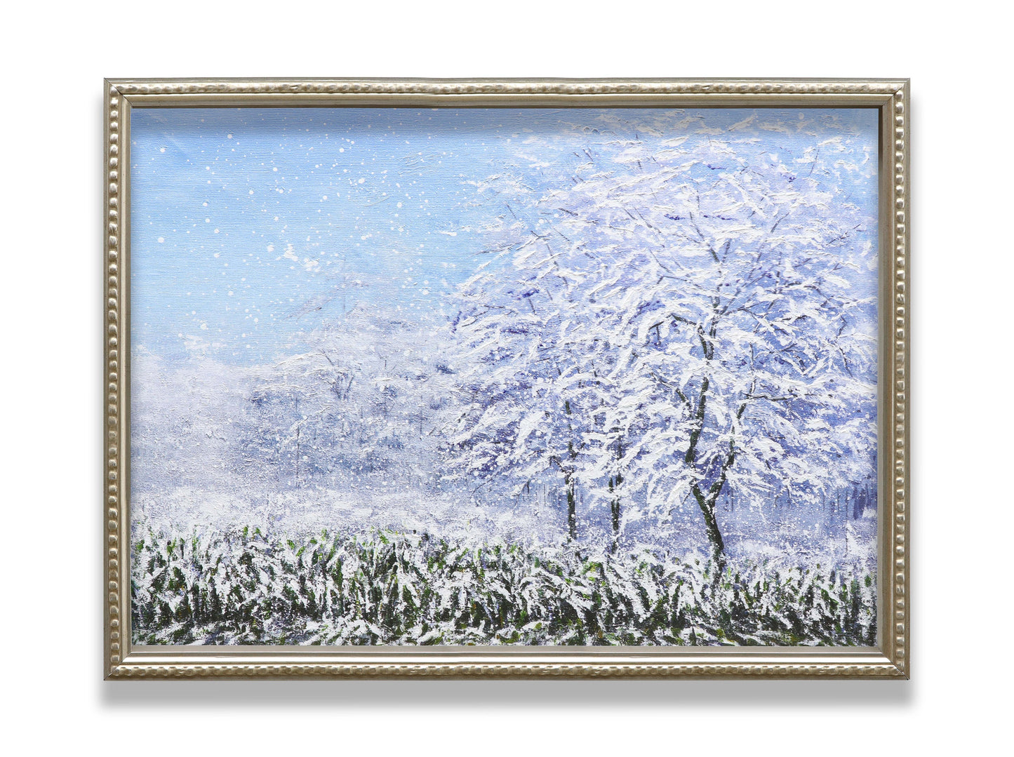 Winter Snow Forest