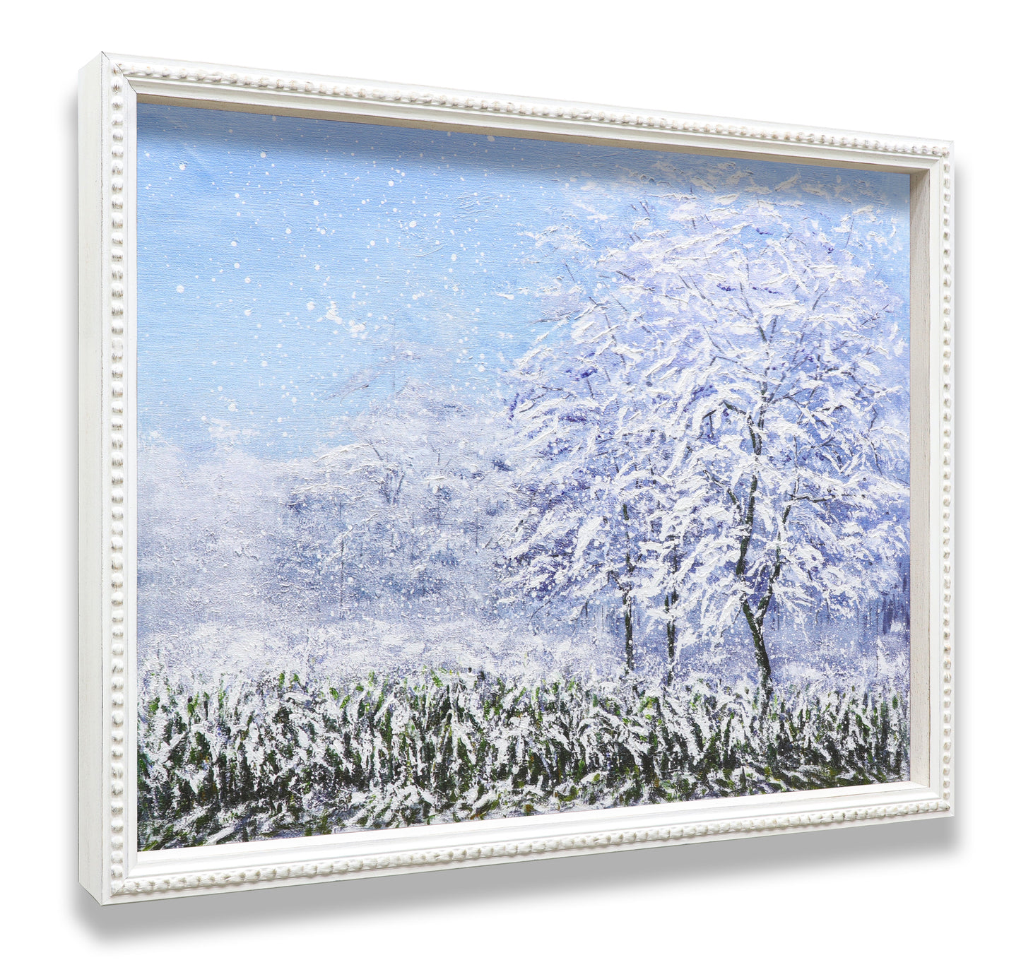 Winter Snow Forest