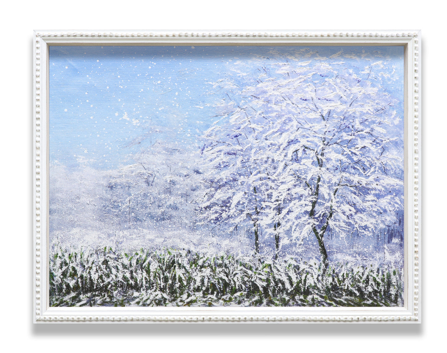 Winter Snow Forest