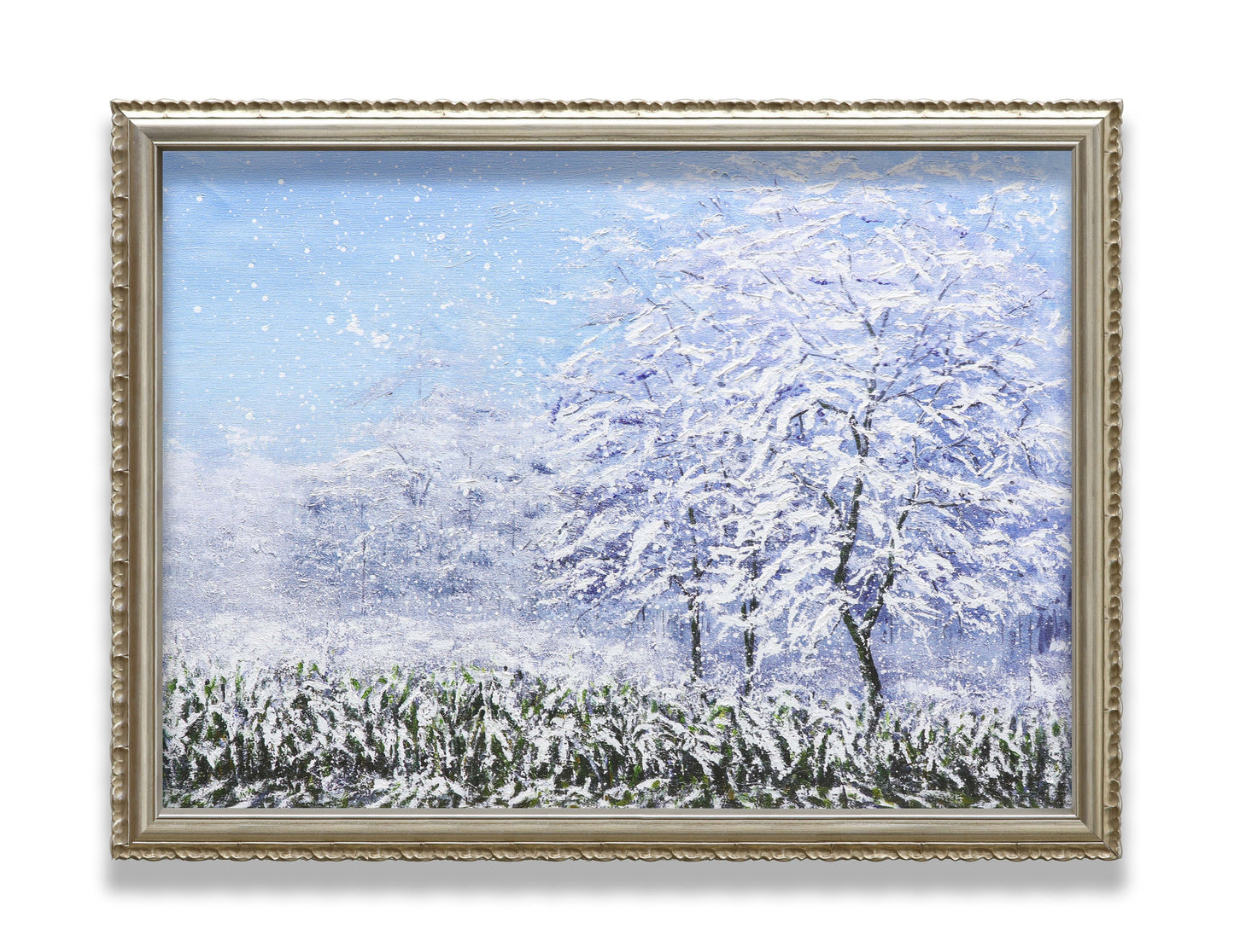 Winter Snow Forest