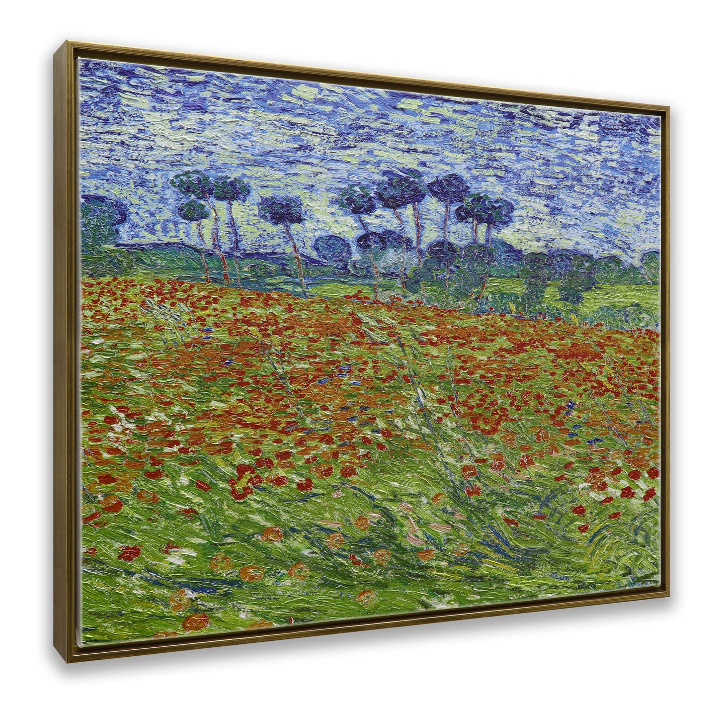 Poppy Field