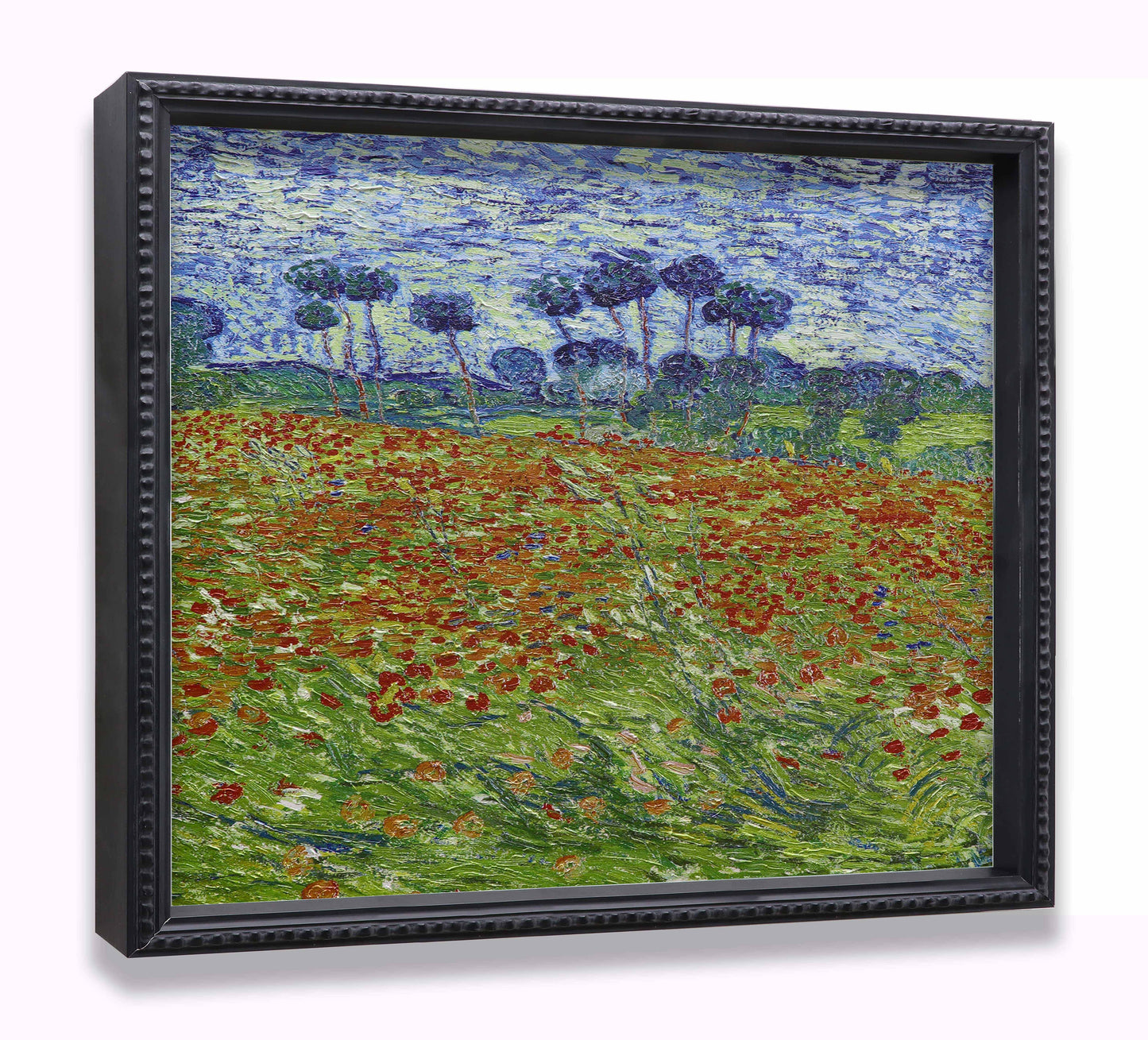 Poppy Field