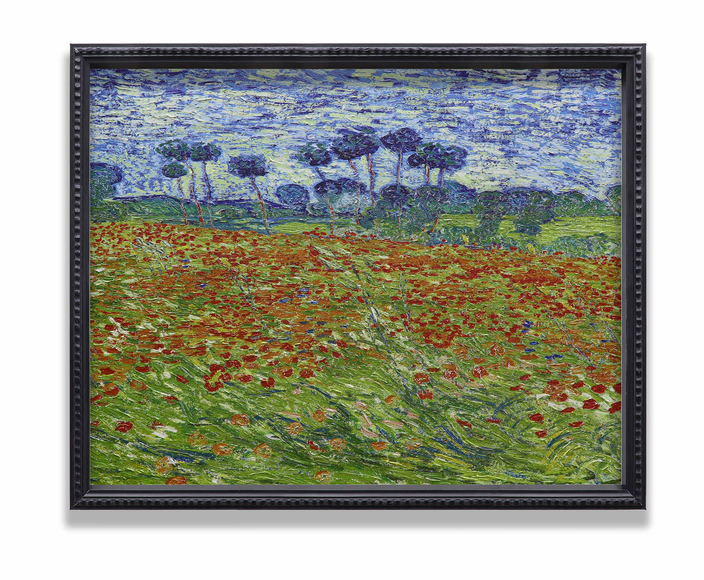 Poppy Field