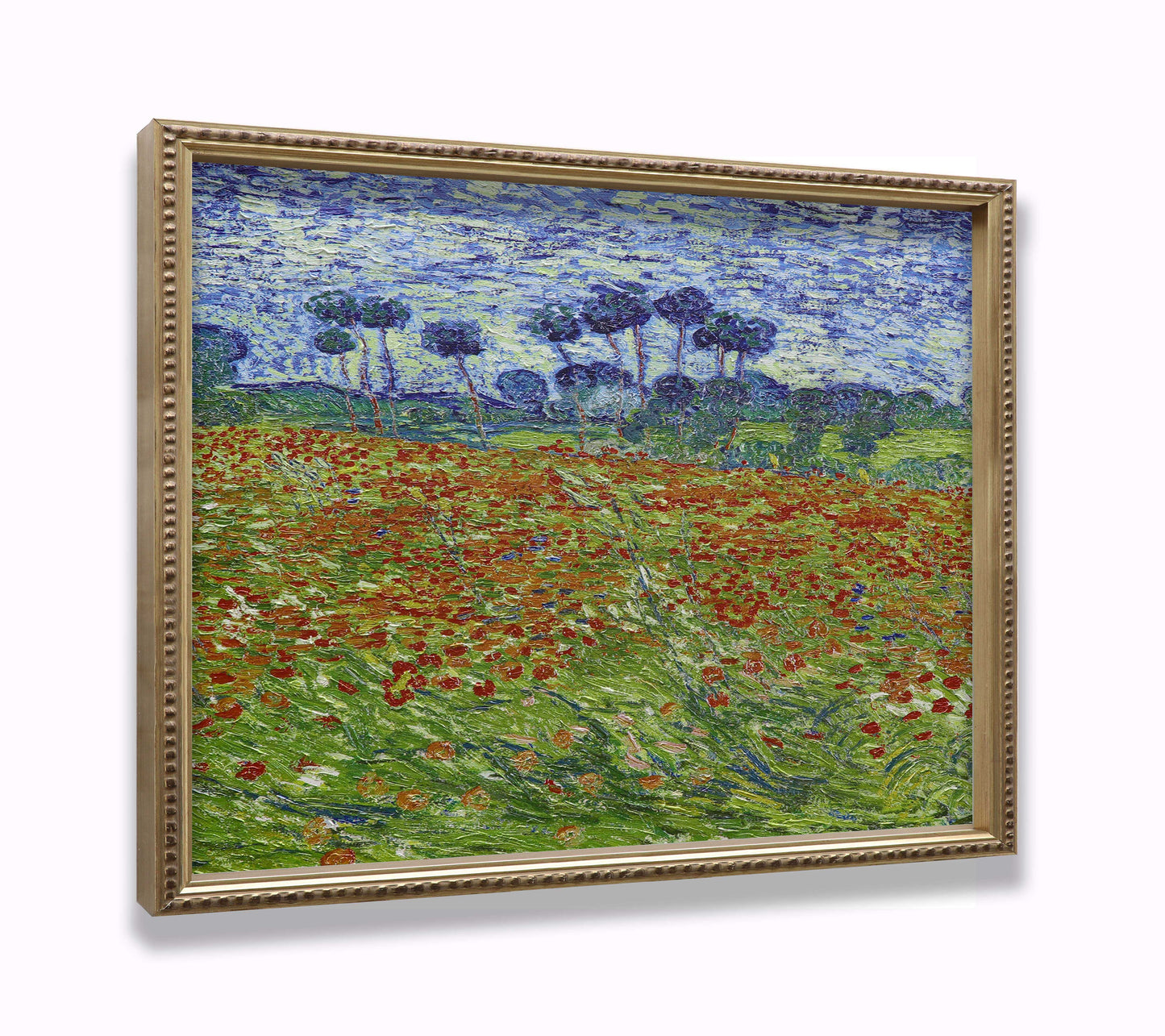 Poppy Field