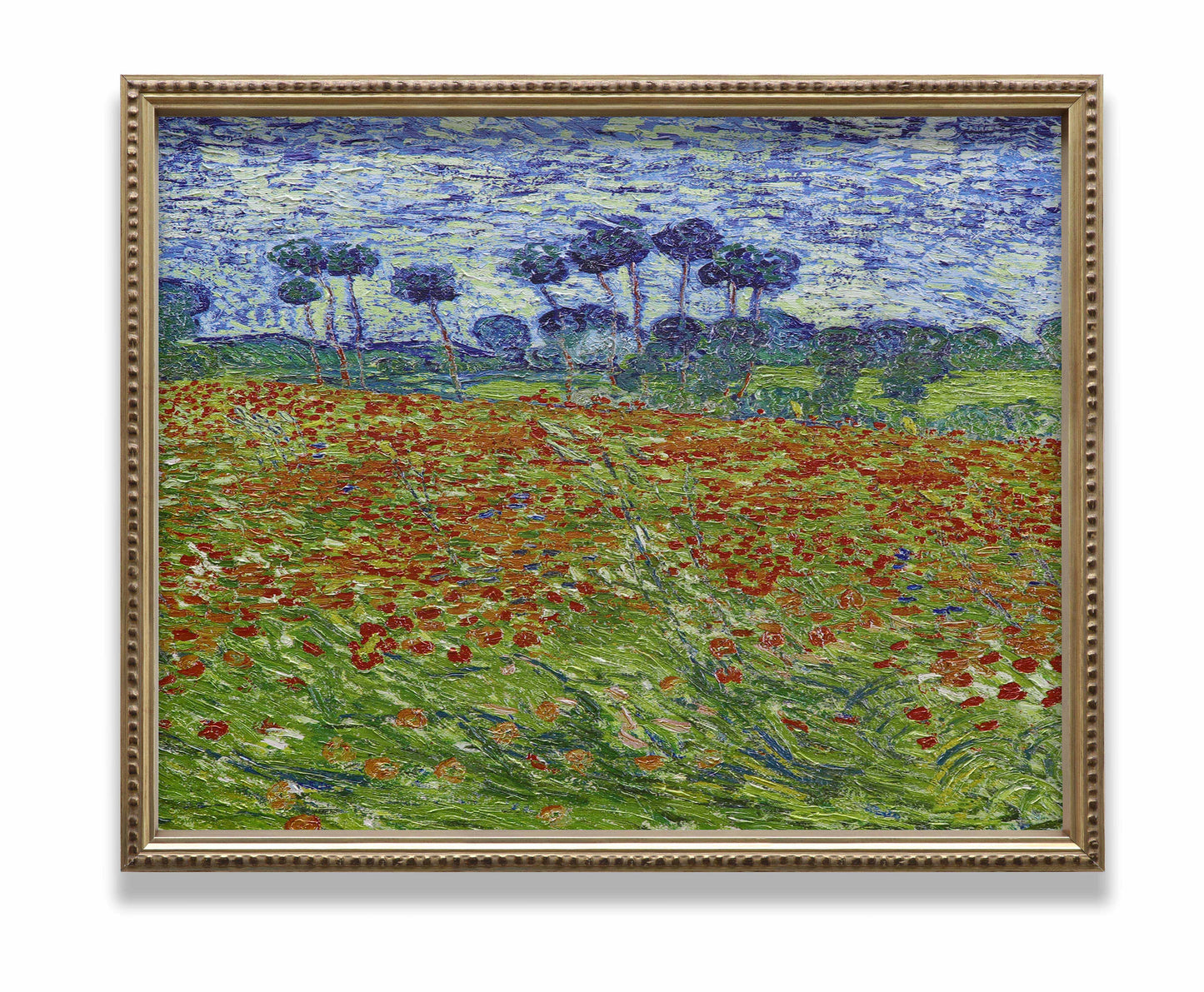 Poppy Field