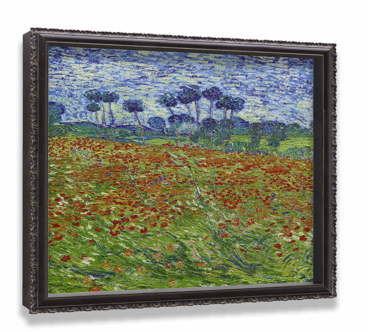 Poppy Field