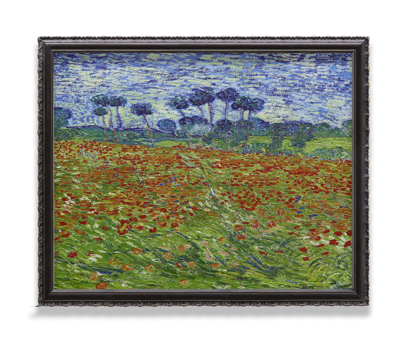 Poppy Field