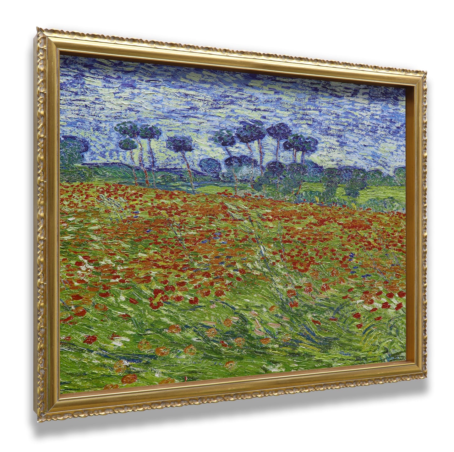 Poppy Field