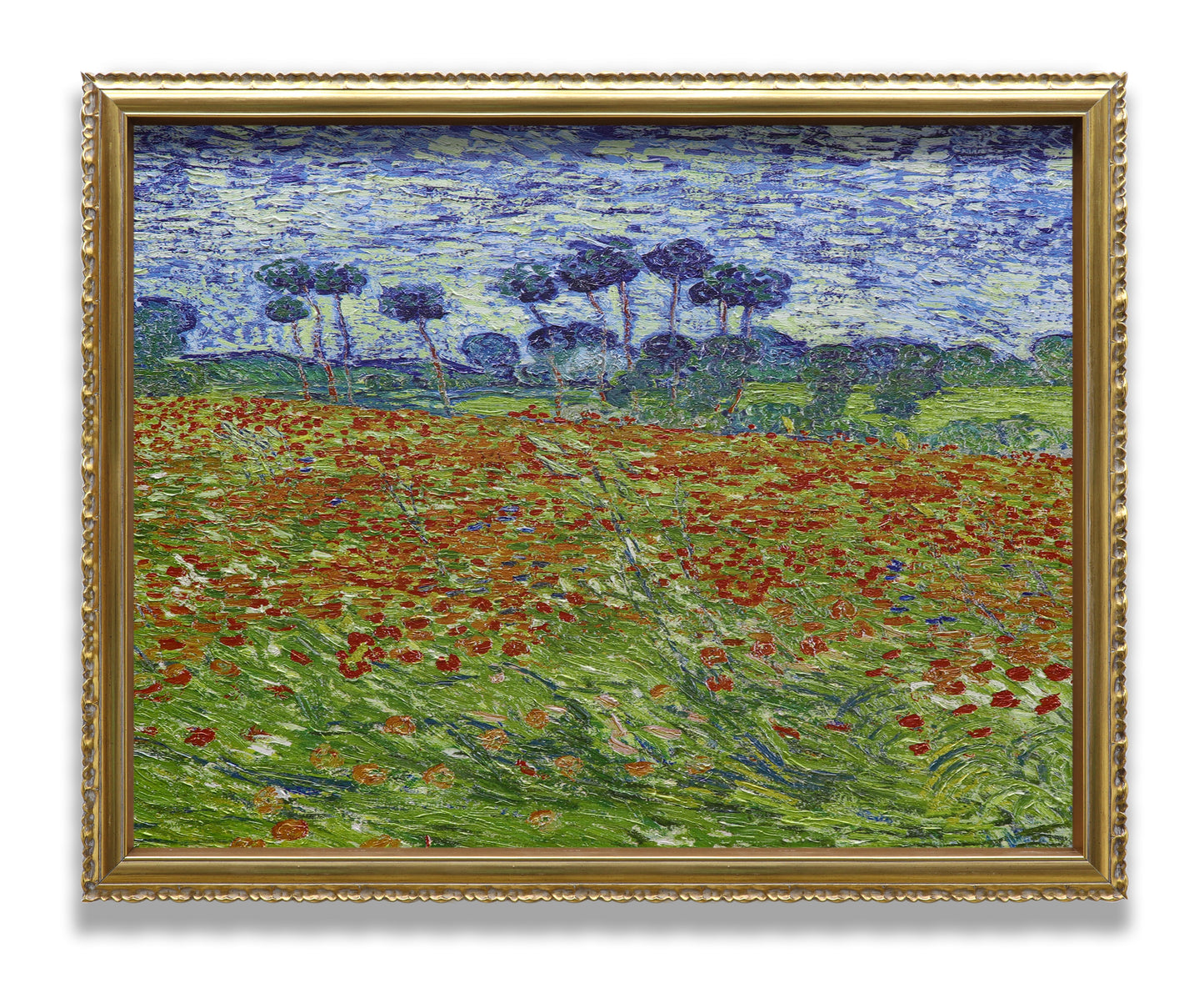 Poppy Field