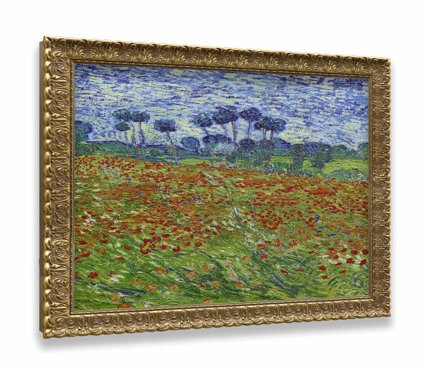 Poppy Field