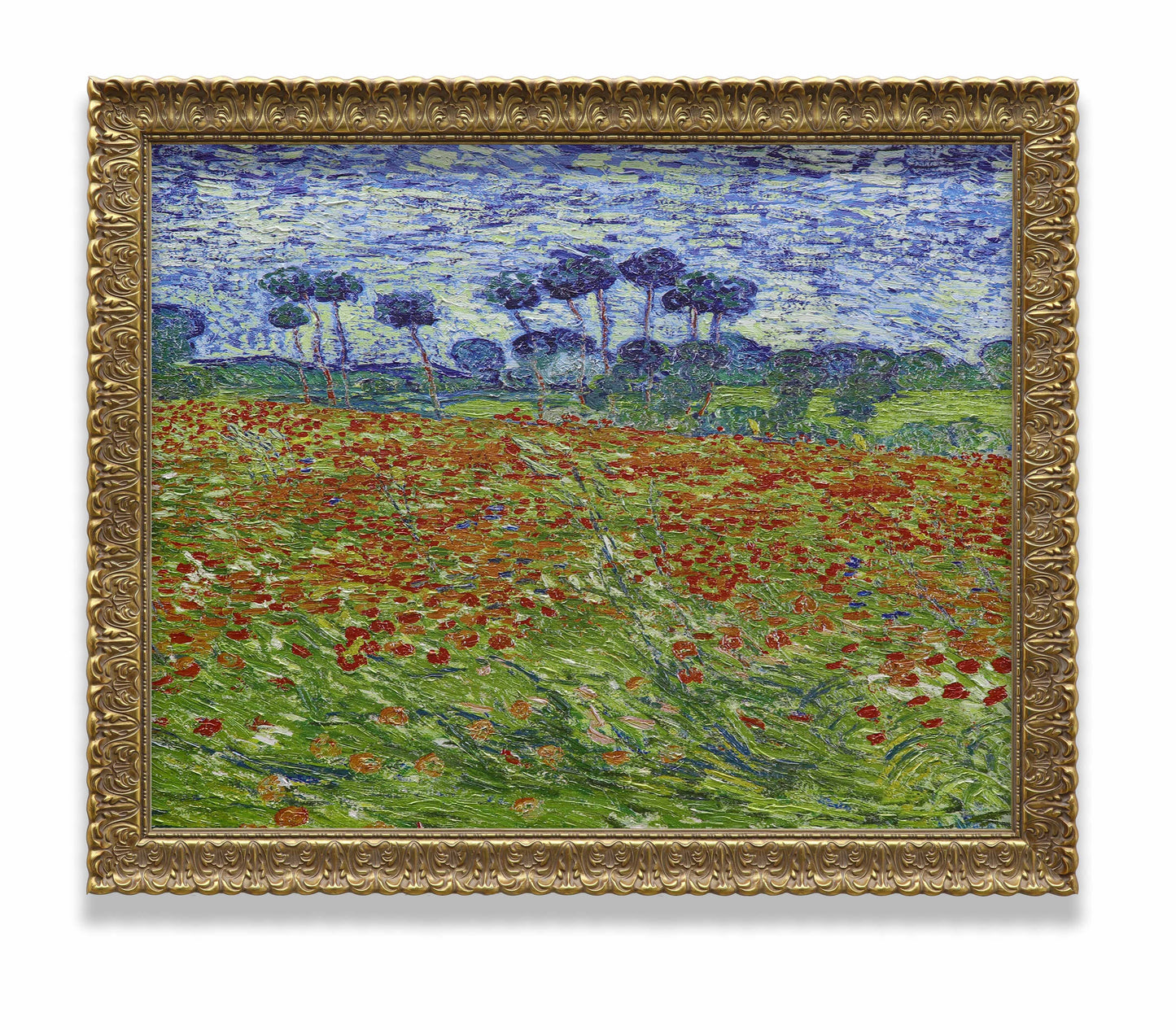 Poppy Field