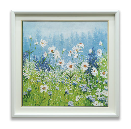 Daisies Field White Flowers