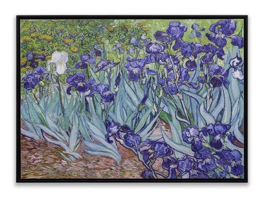 Irises Garden