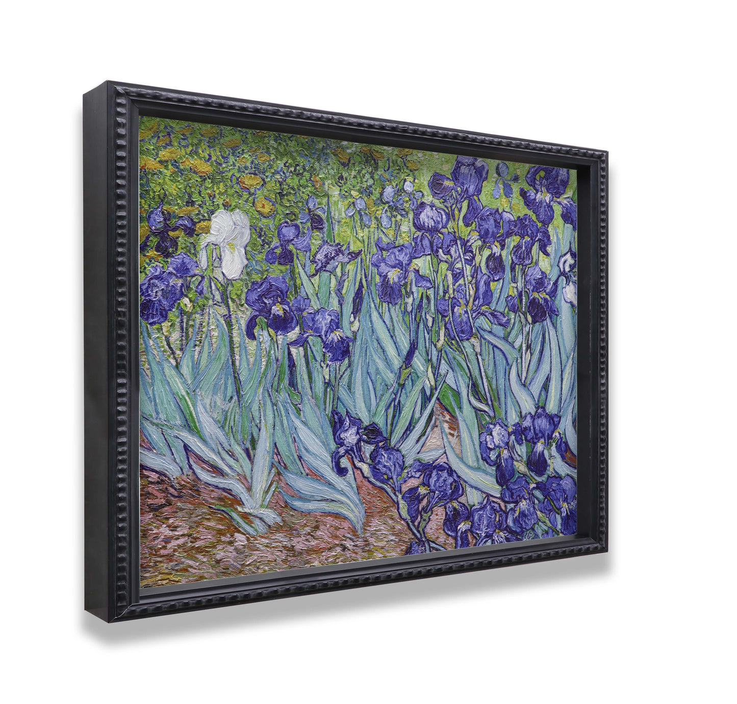 Irises Garden