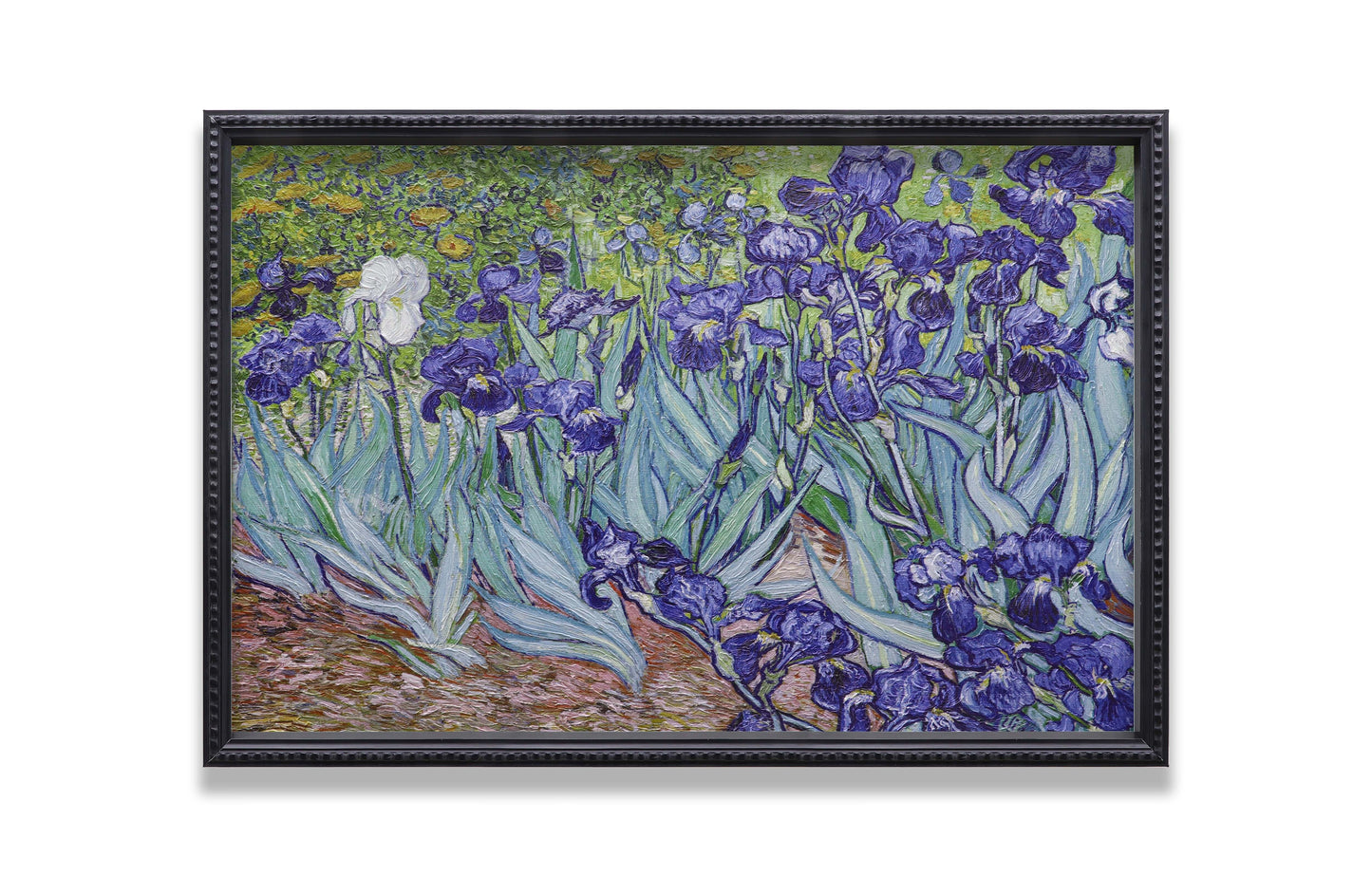 Irises Garden