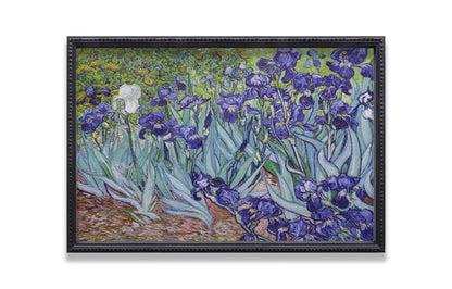 Irises Garden