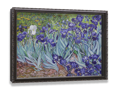 Irises Garden