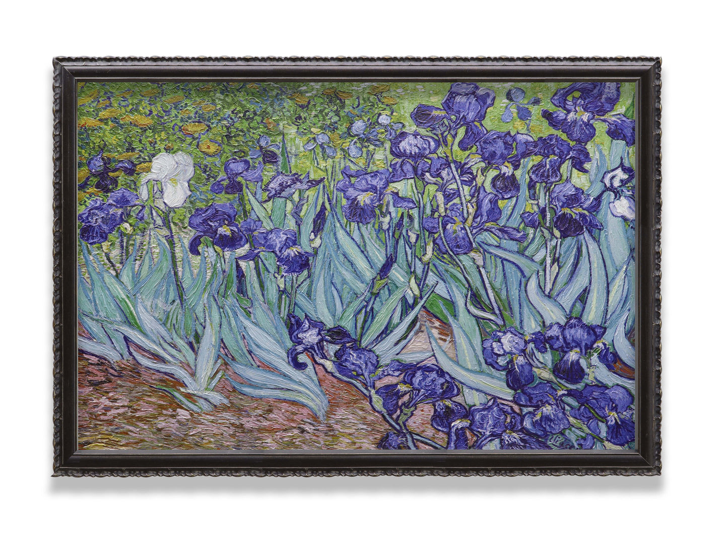 Irises Garden